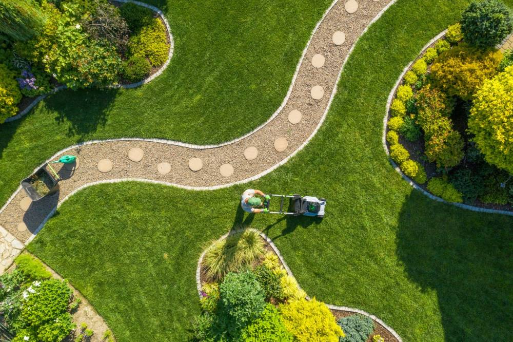 tonte pelouse espace vert