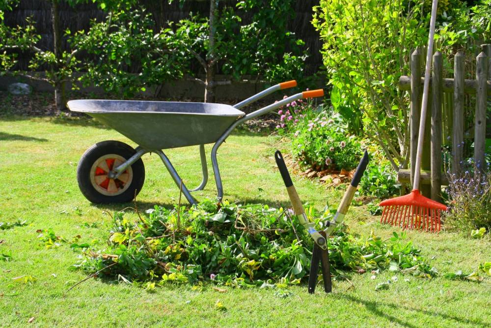 Entretien de jardin à Villefontaine