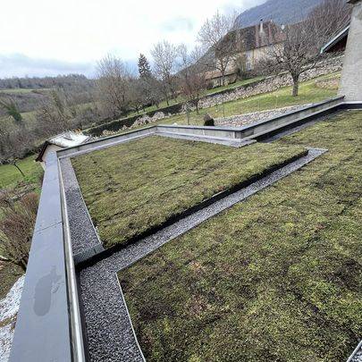entretien de jardin (8)